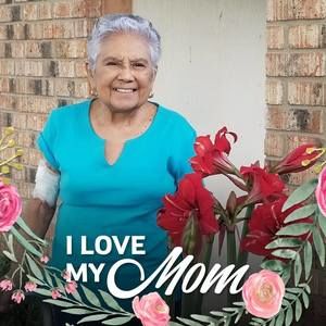 Meet your Posher, Norma